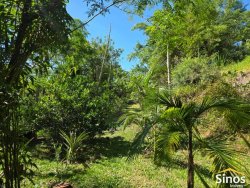 Sítio com 2,00 hectares no bairro Lomba Grande 