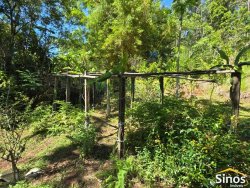 Sítio com 2,00 hectares no bairro Lomba Grande 