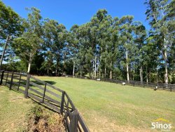Sítio com 3,9 hectares no bairro Lomba Grande 