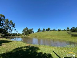 Sítio com 3,9 hectares no bairro Lomba Grande 