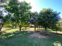 Sítio com 3,9 hectares no bairro Lomba Grande 