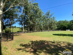 Sítio com 3,9 hectares no bairro Lomba Grande 