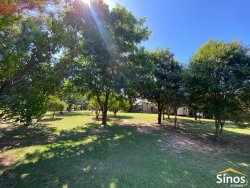 Sítio com 3,9 hectares no bairro Lomba Grande 