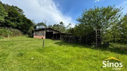 Sítio com 2,00 hectares no bairro Lomba Grande  