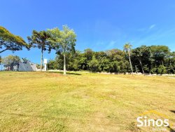Terreno com 317,78m² no Condomínio Residencial Isadora  