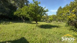 Sítio com 2,00 hectares no bairro Lomba Grande 