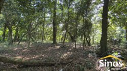Sítio com 2,00 hectares no bairro Lomba Grande 