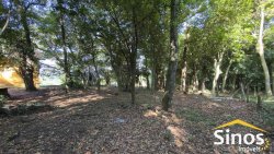 Sítio com 2,00 hectares no bairro Lomba Grande 