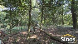 Sítio com 2,00 hectares no bairro Lomba Grande 