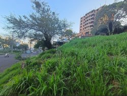 Terreno com 1.140m² no Centro 