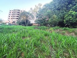 Terreno com 1.140m² no Centro 