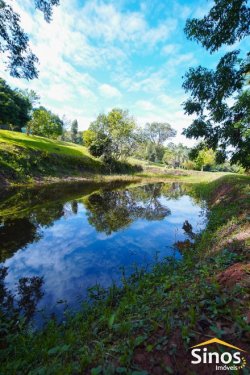 Sítio com 5,0 hectares no Morro Agudo 