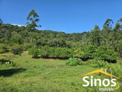 Sítio com 7,00 hectares no bairro Progresso  