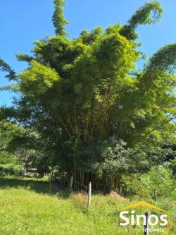 Sítio com 7,00 hectares no bairro Progresso  