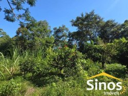 Sítio com 7,00 hectares no bairro Progresso  