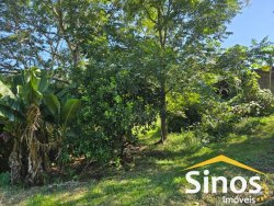 Sítio com 7,00 hectares no bairro Progresso  