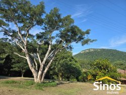 Sitio com 3,00 hectares no bairro Lomba Grande 