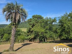 Sitio com 3,00 hectares no bairro Lomba Grande 