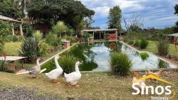 Sítio de 5.000,00m² no bairro Lomba Grande  