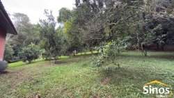 Sítio com 2,00 hectares no bairro Lomba Grande 