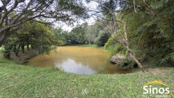 Sítio com 2,00 hectares no bairro Lomba Grande 