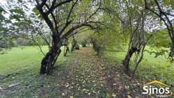 Sítio com 2,00 hectares no bairro Lomba Grande 