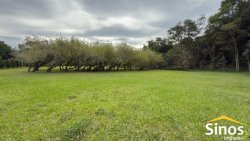 Sítio com 2,00 hectares no bairro Lomba Grande 