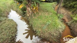 Sítio com 2,00 hectares no bairro Lomba Grande 