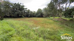 Sítio com 2,00 hectares no bairro Lomba Grande 