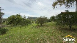 Sítio com 2,00 hectares no bairro Lomba Grande 
