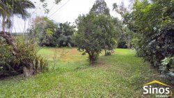 Sítio com 2,00 hectares no bairro Lomba Grande 