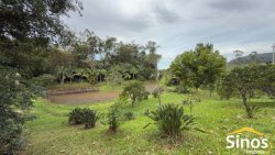Sítio com 2,00 hectares no bairro Lomba Grande 