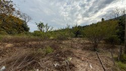 Sítio com 23.621,34m² no bairro Lomba Grande  