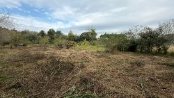 Sítio com 23.621,34m² no bairro Lomba Grande  