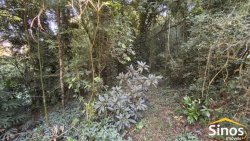 Sítio com 23.621,34m² no bairro Lomba Grande  