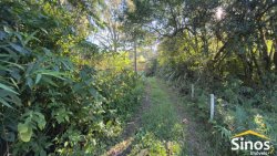 Sítio com 23.621,34m² no bairro Lomba Grande  