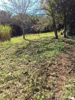 Sítio com 23.621,34m² no bairro Lomba Grande  