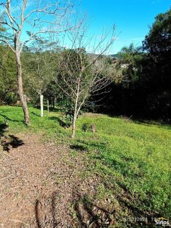 Sítio com 23.621,34m² no bairro Lomba Grande  