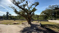 Lançamento Residencial Isadora 