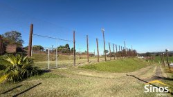 Sítio de 1,00 hectare no bairro Lomba Grande 
