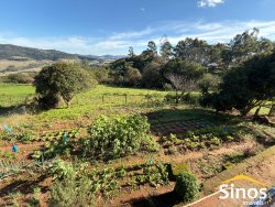 Sítio com 2,00 hectares em Lomba Grande 