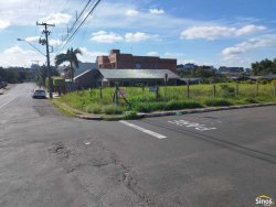 Dois terrenos no bairro Rondônia 