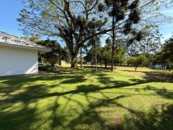 Sítio com 6,00 hectares no bairro Lomba Grande 