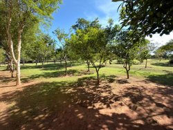 Sítio com 6,00 hectares no bairro Lomba Grande 