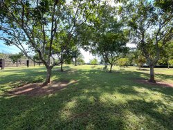 Sítio com 6,00 hectares no bairro Lomba Grande 