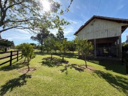 Sítio com 6,00 hectares no bairro Lomba Grande 