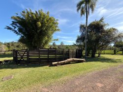 Sítio com 6,00 hectares no bairro Lomba Grande 