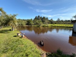 Sítio com 6,00 hectares no bairro Lomba Grande 