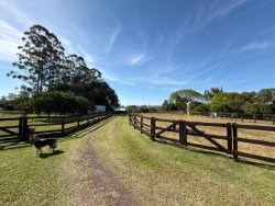 Sítio com 6,00 hectares no bairro Lomba Grande 