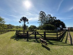 Sítio com 6,00 hectares no bairro Lomba Grande 
